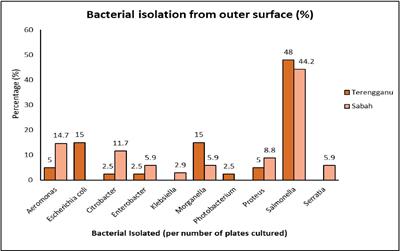 Nutritional compositions, pathogenic microorganisms and heavy metal concentration in green turtle eggs (Chelonia mydas) from Terengganu and Sabah, Malaysia